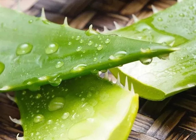 老年養生方法_老年人養生方式_老年養生指南