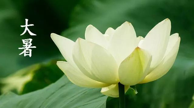 大暑中醫養生_大暑的中醫養生_中醫暑天養生