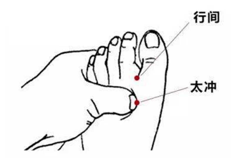 春季養生的方式_春季養生有哪些方法_春季養生方法有哪些