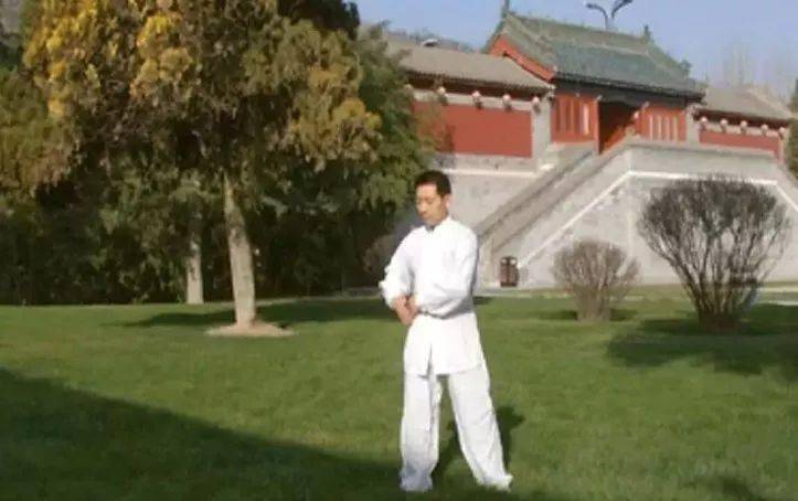 道家有哪些養生功法_養生道家功法有多少種_道家養生功法有哪些百度知道