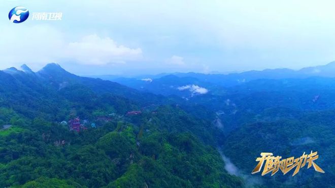 武當道長親授的養生功法，能醫哪些病癥？