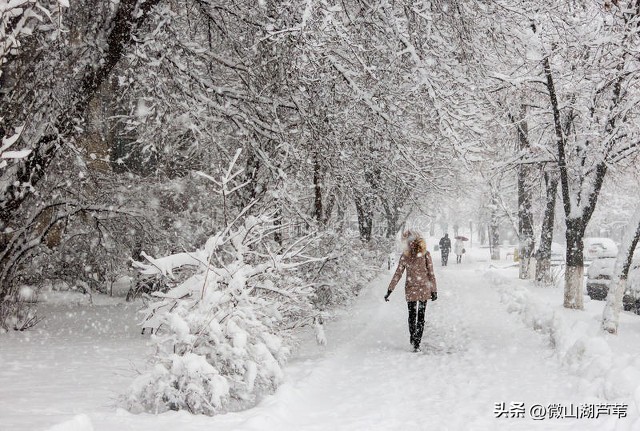 養生知識老年人_老年人養生的關注點有哪些_老年人養生應注意什么