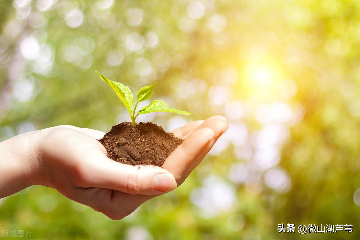 老年人養生的關注點有哪些_老年人養生應注意什么_養生知識老年人